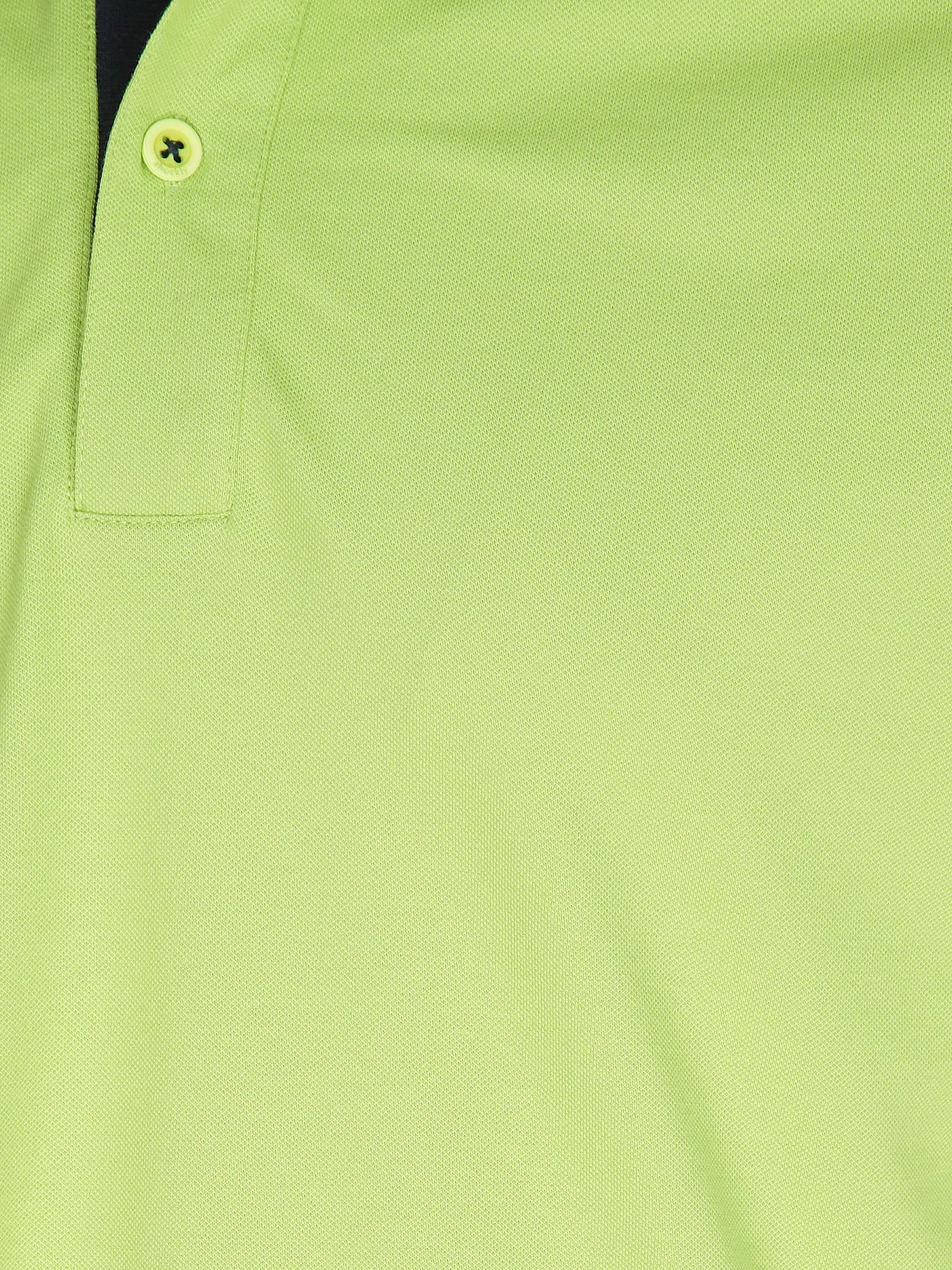 SHOCKLY | Poloshirt  | grün