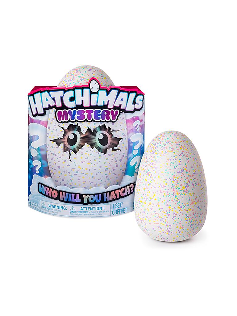 SPINMASTER | Hatchimals  MYSTERY Ei mit interaktiver Spielfigur 6043737 | transparent