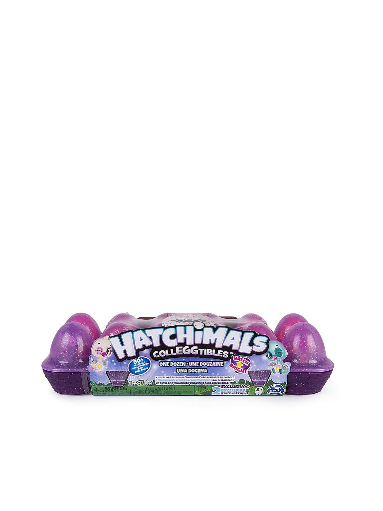 SPINMASTER | Hatchimals Colleggtibles Eierkarton 12-er | keine Farbe