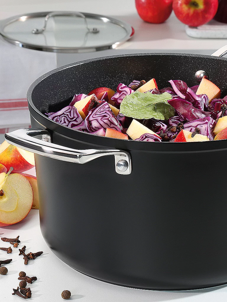 SPRING Bratentopf MERIDIAN Intense Pro 20cm / 3l Antihaft schwarz