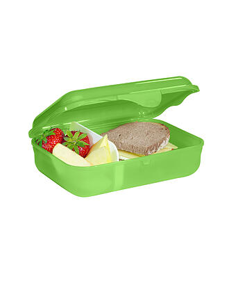 STEP BY STEP | Lunchbox Dino Targo Gruen 