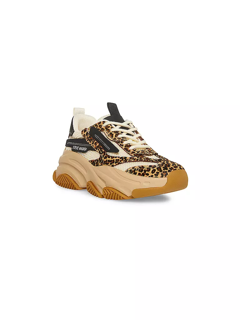 STEVE MADDEN | Sneaker POSSESSION-E | braun