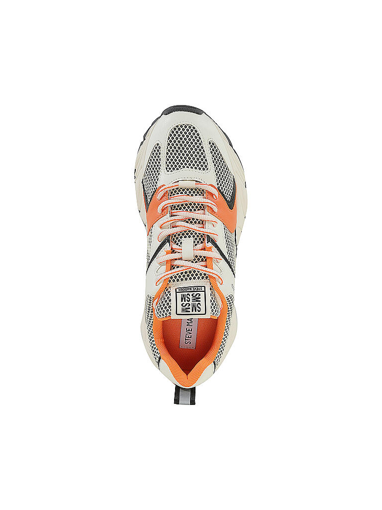 STEVE MADDEN | Sneaker STANDOUT | 