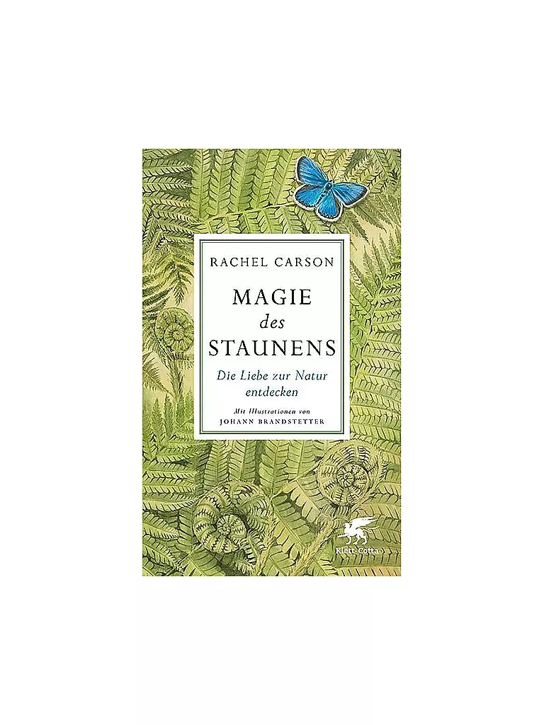 SUITE | Magie des Staunens - Die Liebe zur Natur entdecken | keine Farbe