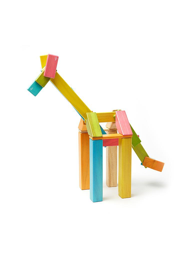 TEGU | Magnetische Holzbausteine (farbig) 42 Teile | keine Farbe