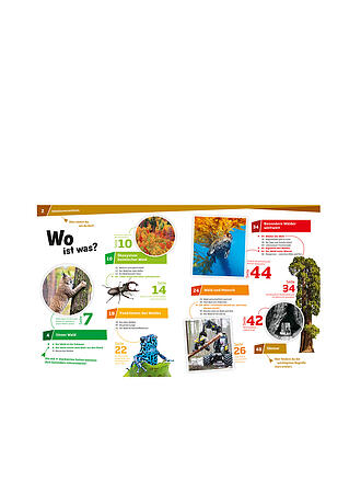 TESSLOFF VERLAG | Buch - Was ist Was - Wald - Mehr als nur Bäume 134