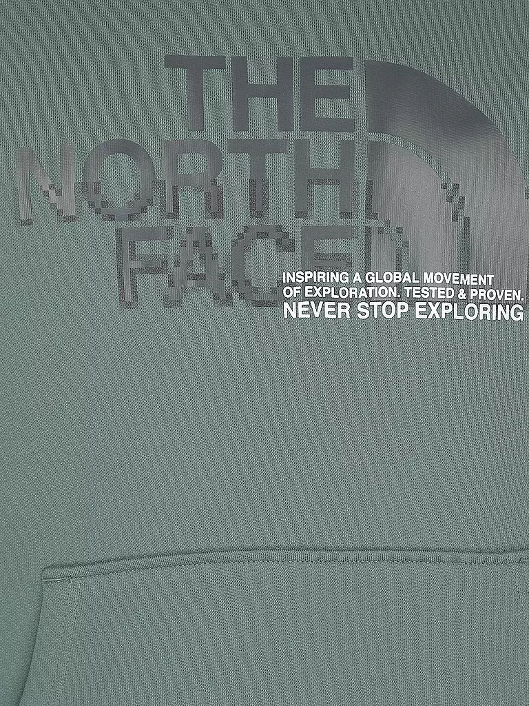 THE NORTH FACE | Kapuzensweater - Hoodie  | grün