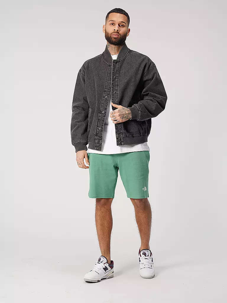 THE NORTH FACE | Shorts | grün