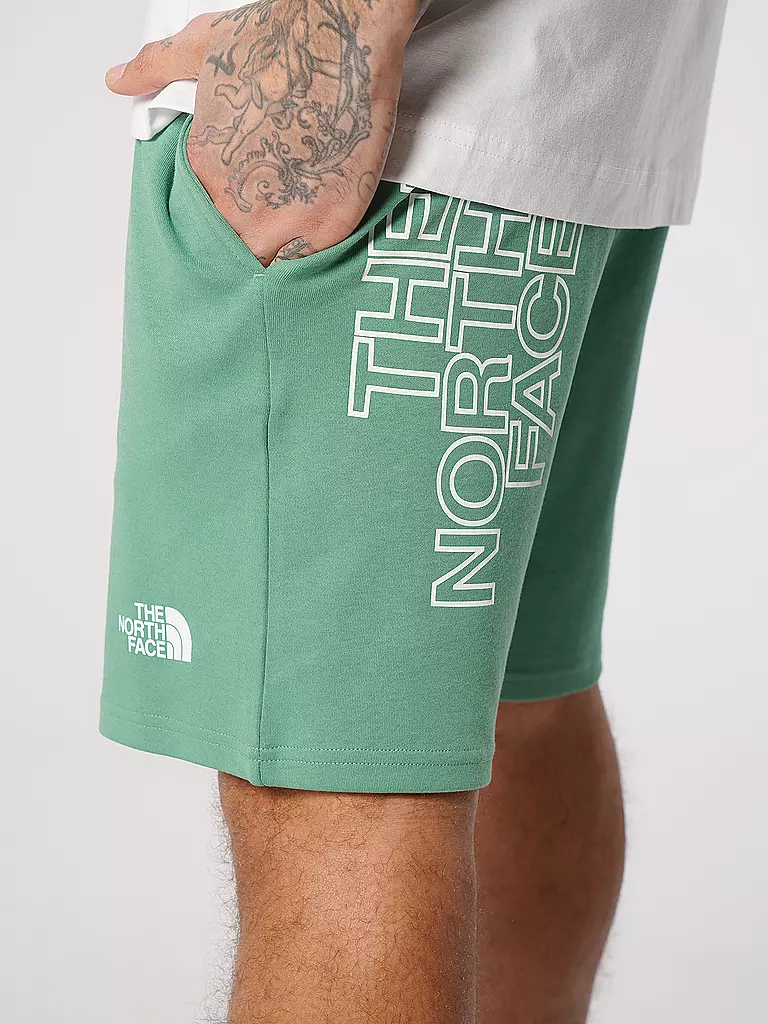 THE NORTH FACE | Shorts | grün