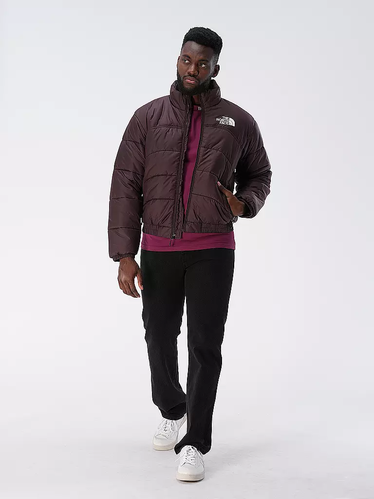 THE NORTH FACE | Steppjacke TNF JACKET 2000 | braun