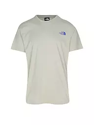 THE NORTH FACE | T-Shirt | grau