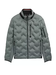 TOM TAILOR | Leichtsteppjacke | grün