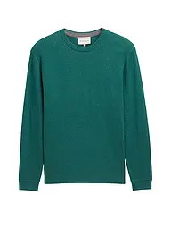 TOM TAILOR | Pullover  | grün