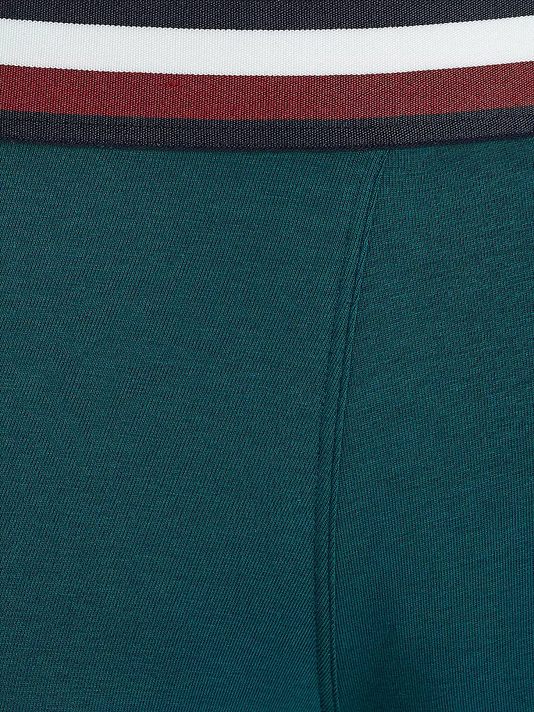 TOMMY HILFIGER | Pants 3-er Pkg green | blau