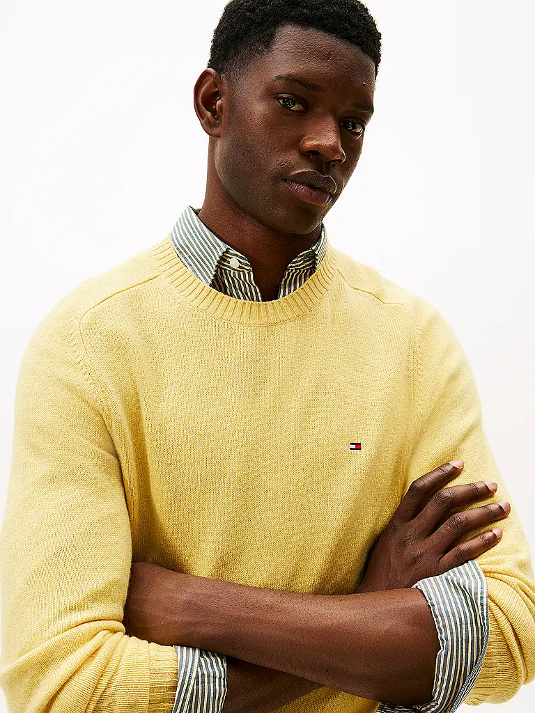 TOMMY HILFIGER | Pullover | 