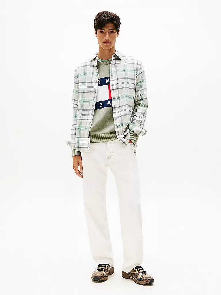 TOMMY JEANS | Hemd Regular Fit  | hellgrün