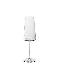 VILLEROY & BOCH SIGNATURE | Sektglas 2er METROCHIC 450 ml | transparent