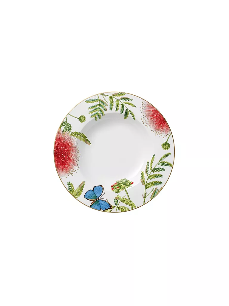 VILLEROY & BOCH SIGNATURE | Suppenteller "Amazonia Anmut" 24cm | bunt