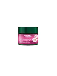 WELEDA | Gesichtscreme - Wildrose & Weißer Tee Nachtpflege 40ml | keine Farbe