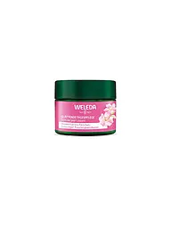 WELEDA | Gesichtscreme - Wildrose & Weißer Tee Nachtpflege 40ml | keine Farbe
