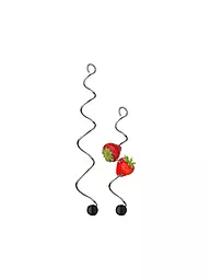 WMF | Fruchtspiess BASIC 2Stk. Cromargan/Sil.  | silber