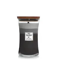 WOODWICK | Sanduhrkerze Knisterdocht 454g Trilogy Sun-Ripend Berries | Grau