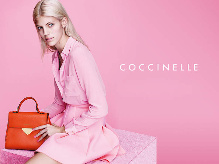 Coccinelle-720x540.jpg