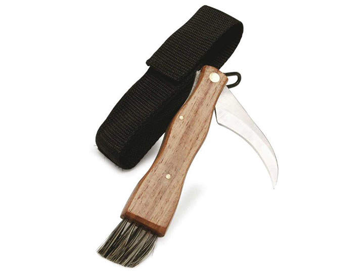 Pilzmesser-2.jpg