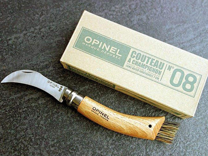 Pilzmesser.jpg