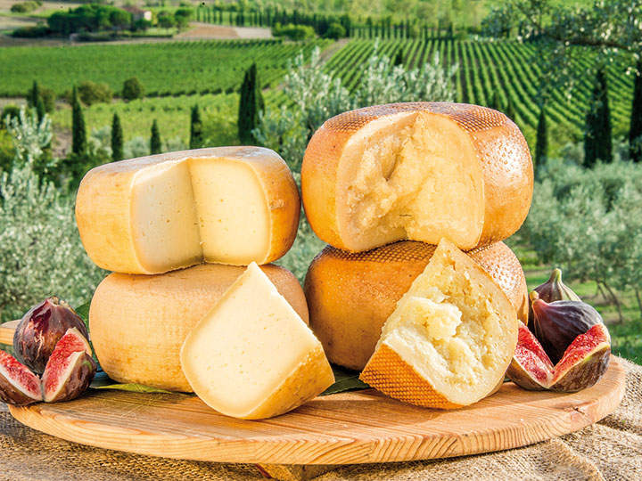 Fattoria_2_720x540.jpg