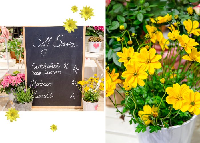 BLUMEN_1 BLUMEN_1