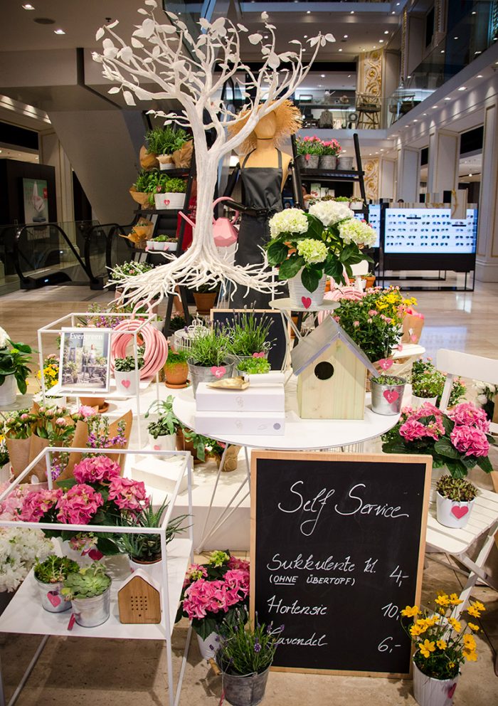 BLUMEN_4 BLUMEN_4
