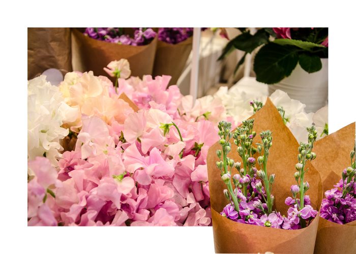 BLUMEN_6 BLUMEN_6