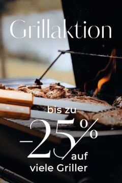 Grillaktion-LPB-373×560-2
