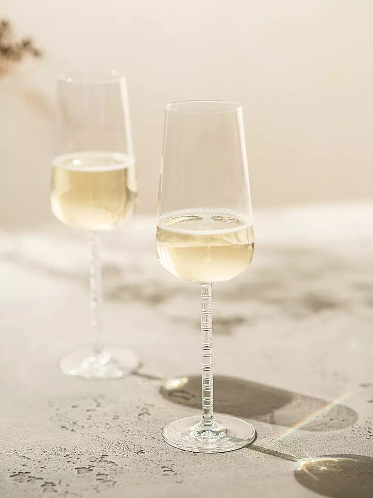 ZWIESEL GLAS | Champagnerglas 2er Set JOURNEY | transparent
